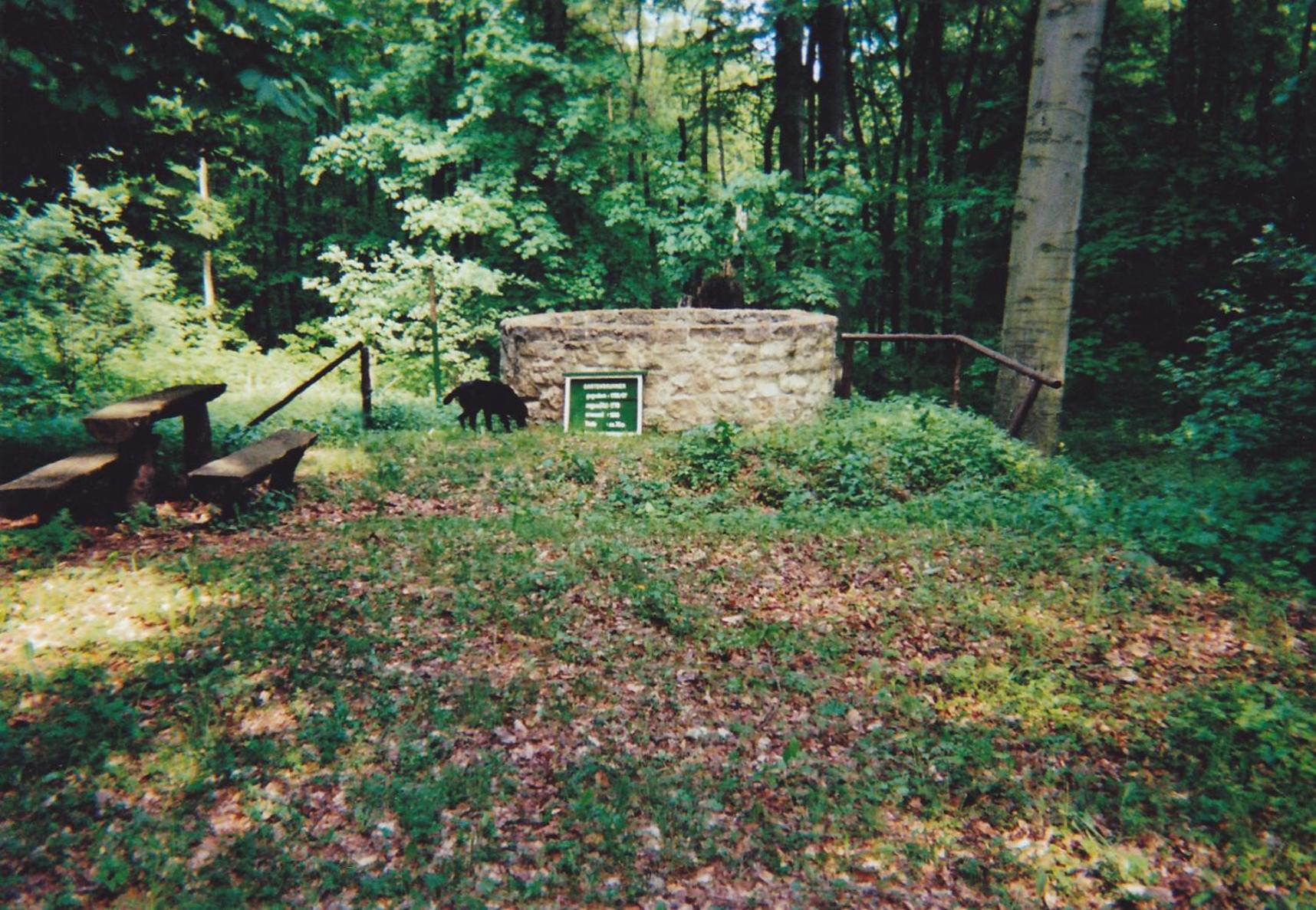 Hotel Garni Zum Rebstock Naumburg  Exterior photo